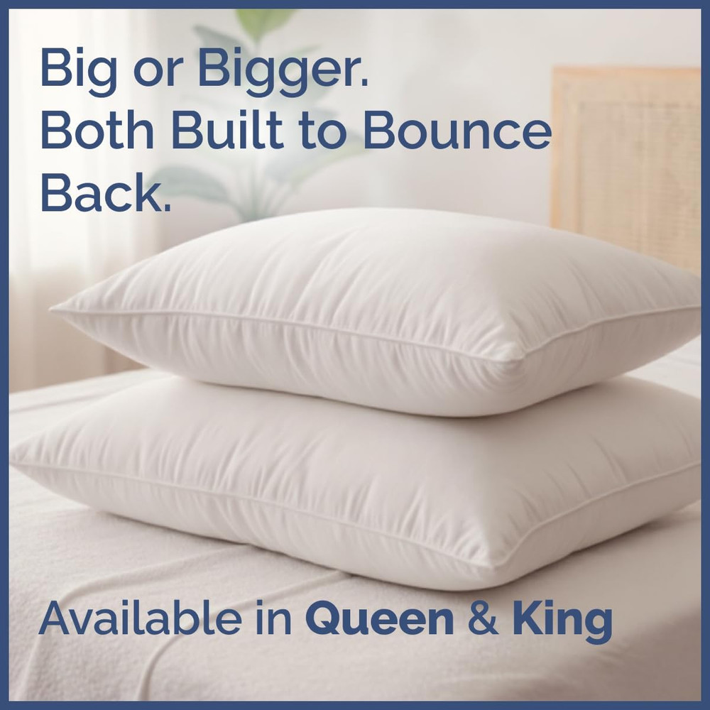 Queen 4-Piece Sheet Set & 2 Cotton Bed Pillows Bundle