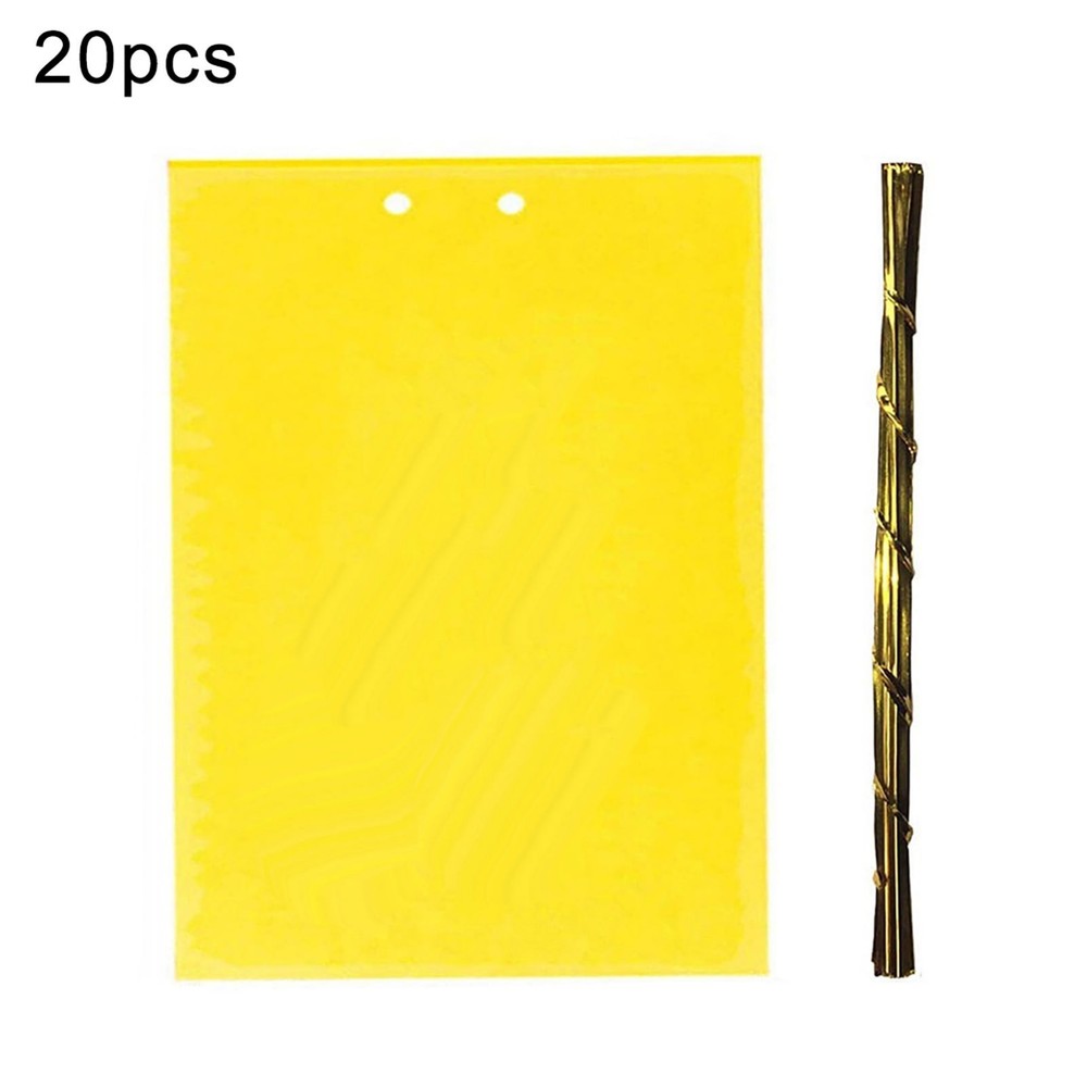 20 Pcs Bug Trap Killer Strong Paper Sticky Glue