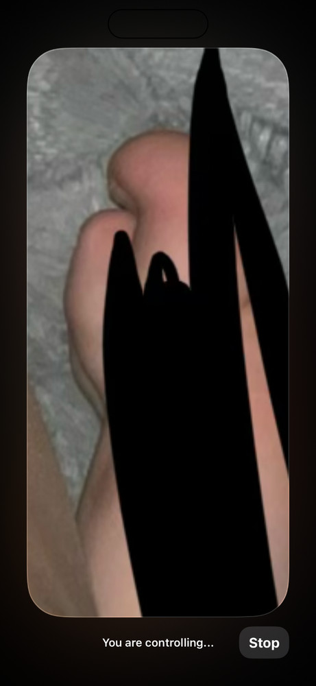 Pictures