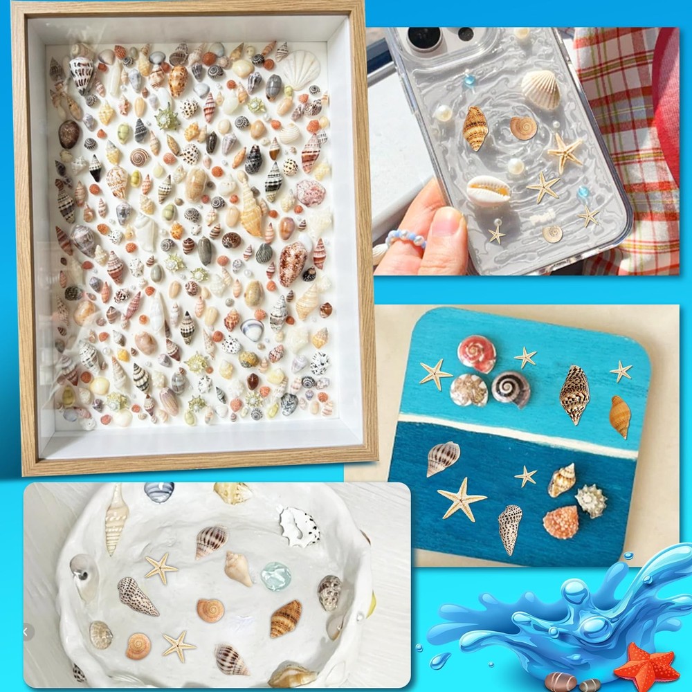 2000 PCS Tiny Sea Shells Mini Shells for Crafting & 20 Small Starfish for Fis...