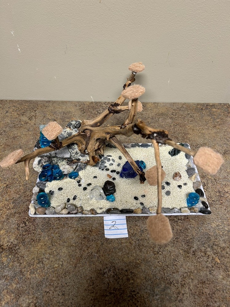 Bonsái tree for aquarium