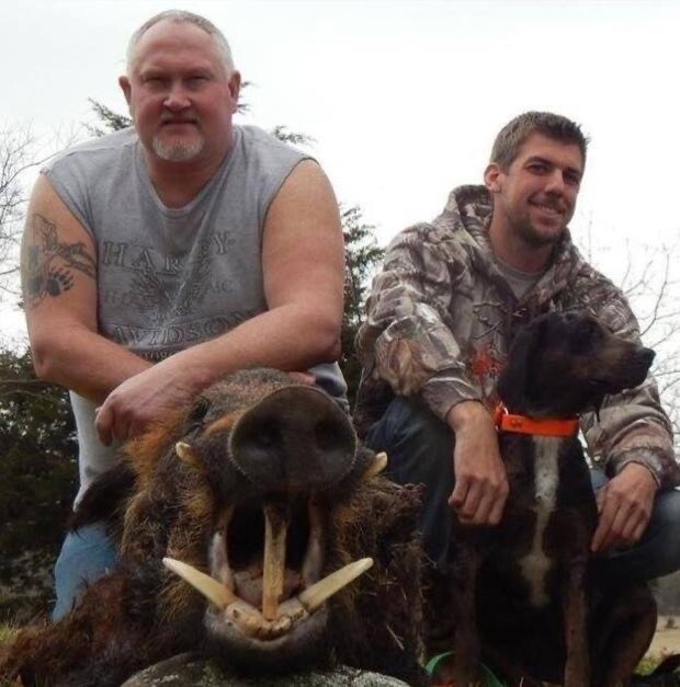 Semi Guided Wild Hog Hunts In Oklahoma
