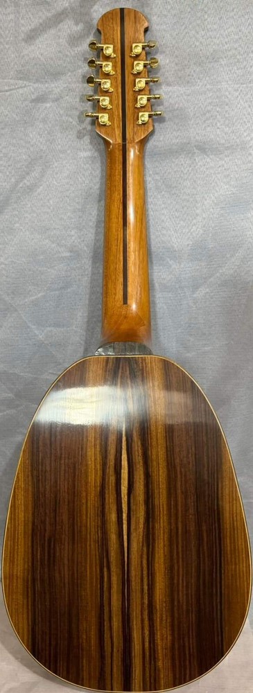 Blueberry Handmade Ten String Classical Nylon String Guitar Built to Order