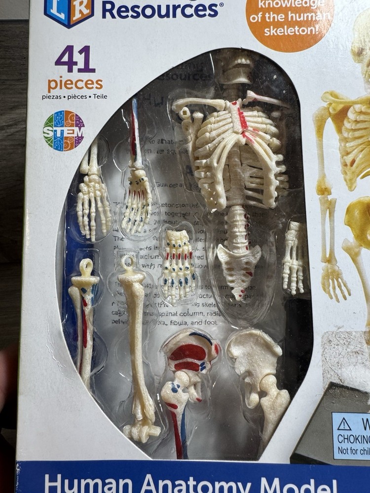 Learning Resources STEM Human Anatomy Skeleton 9.2" Tall Realistic Model ~ 41 Pc