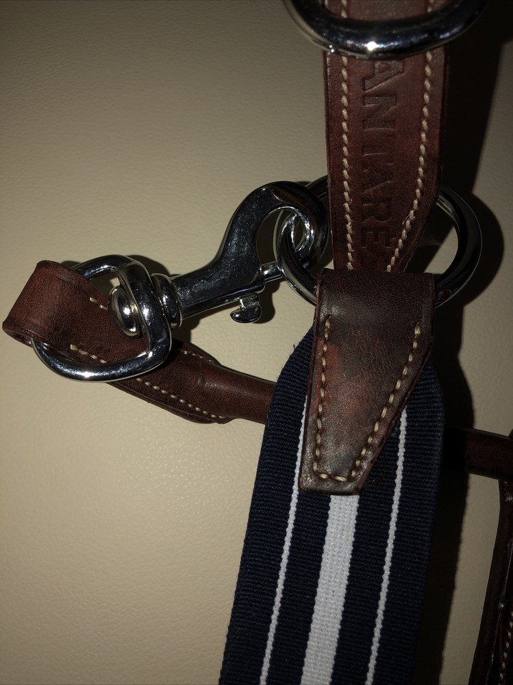 Antares Elastic Stressless Halter Horse Size 2