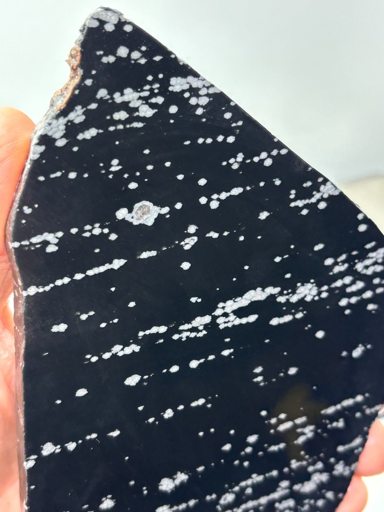 Large Snowflake Obsidian Slab Lapidary Cabbing Knapping Combo ship avail
