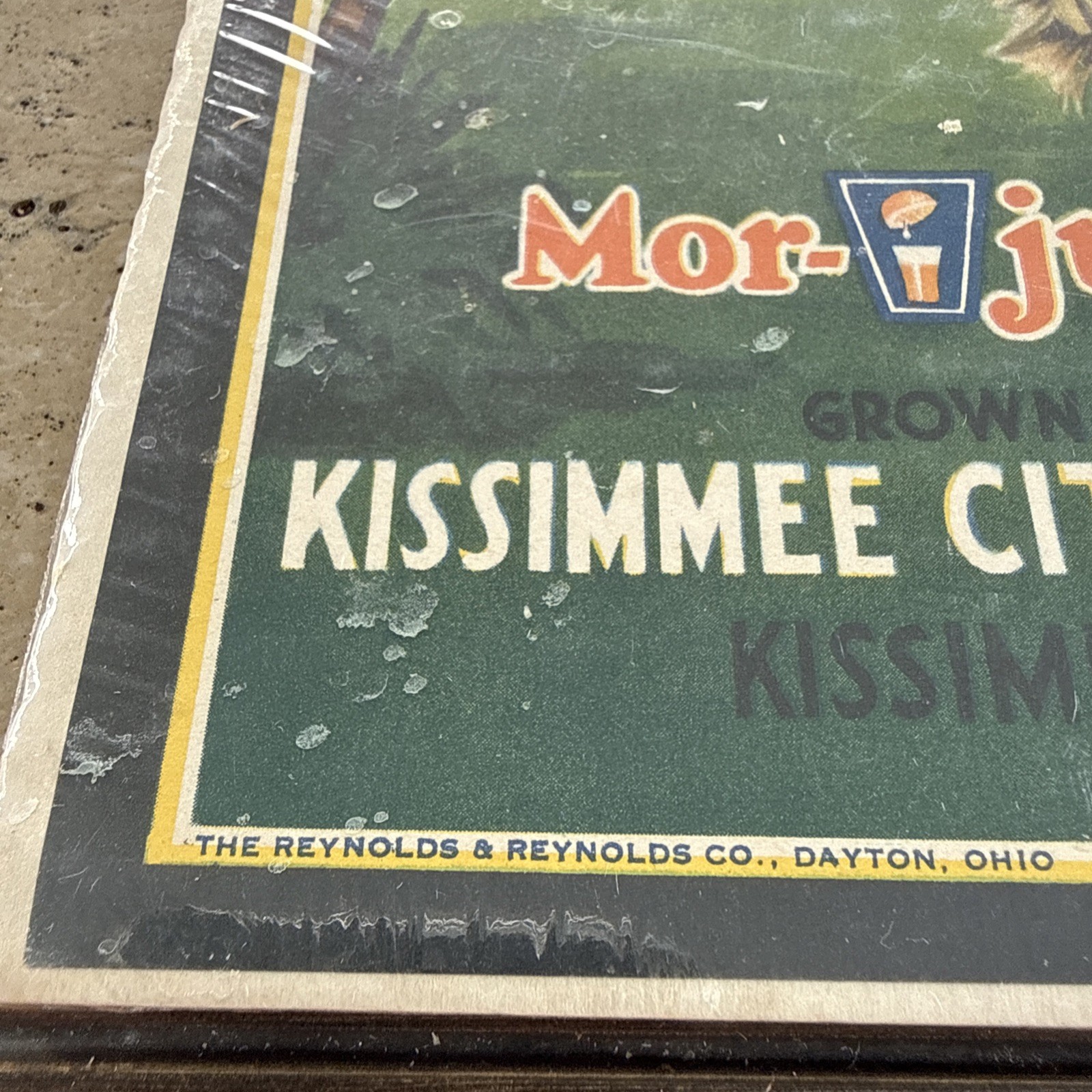 Original Vintage Florida Cowboy Citrus Crate Label Kissimmee Growers Horse Art