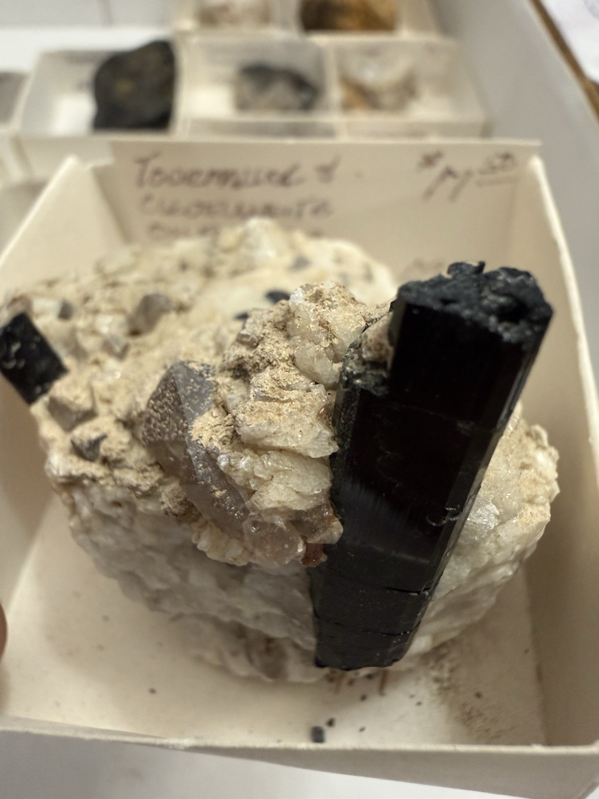 over 20 tourmaline specimens pala chief mine ca little three