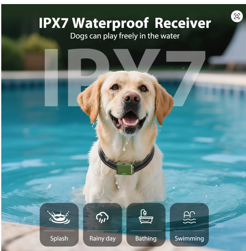 Rechargeable Dog Training Collar with Remote – Multi-Dog Control System