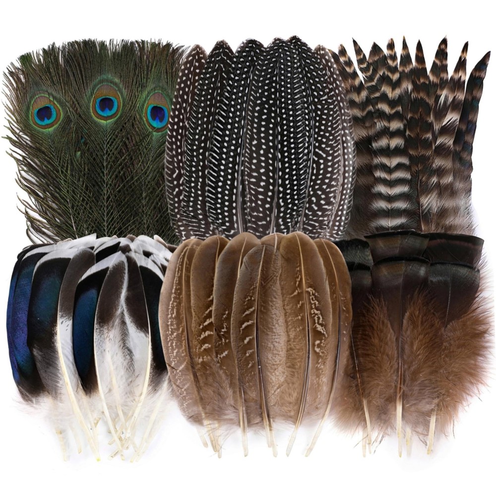 Holmgren 24pcs Natural Feathers Bulk - 6 Styles Assorted 24pcs,