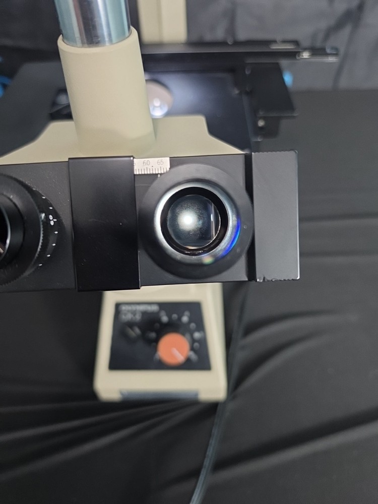 Olympus CK2 Inverted Phase Contrast Microscope 1 Object 20pl Lwd