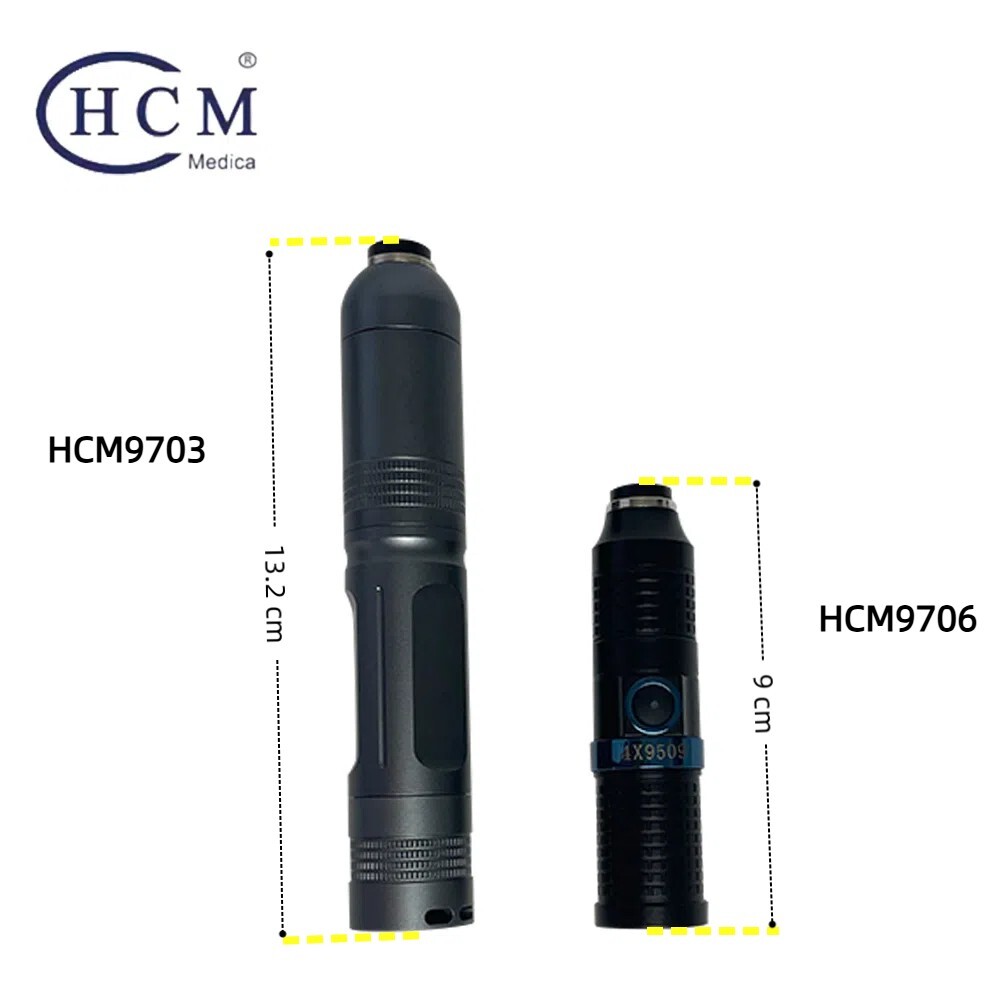 Rechargeable Portable Endoscope Light Source 10W LED Cold Light Source For ENT