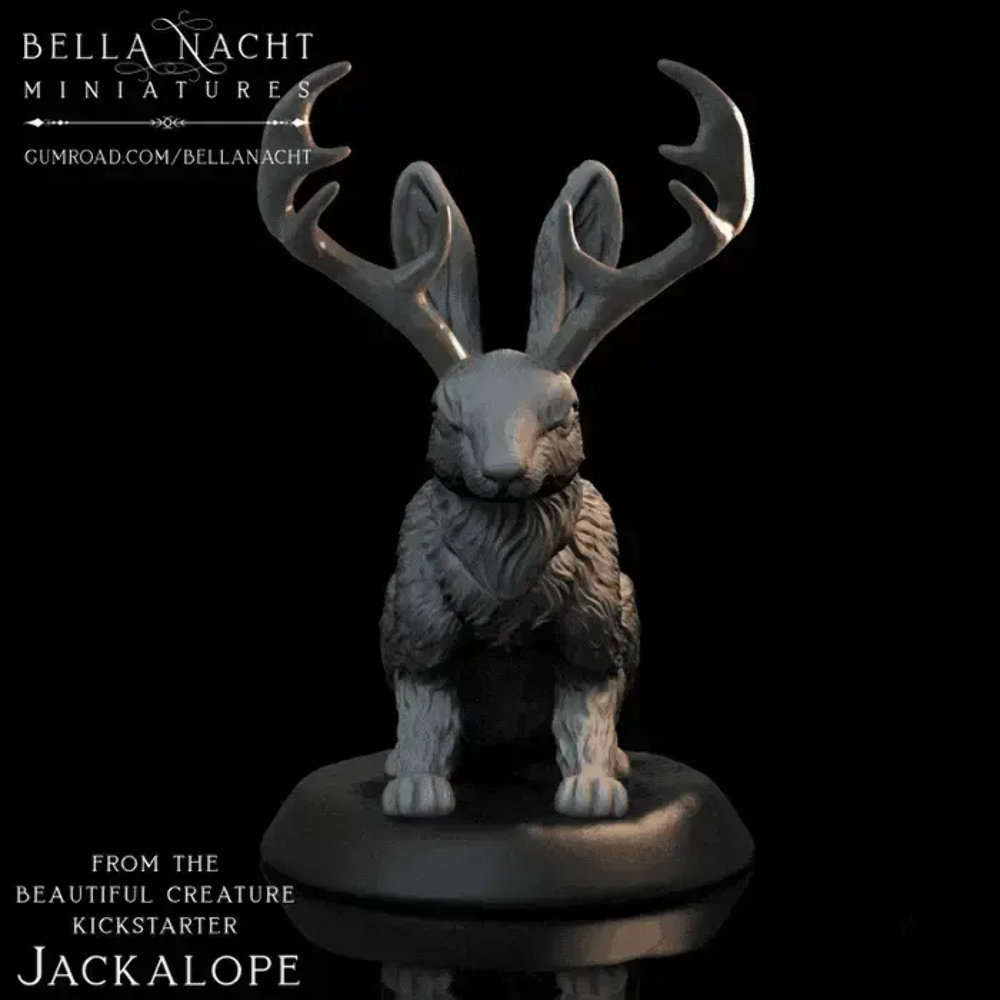Bella Nacht - Jackalope