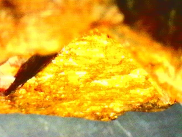 Gold Ore Specimen /Quality Visible Gold