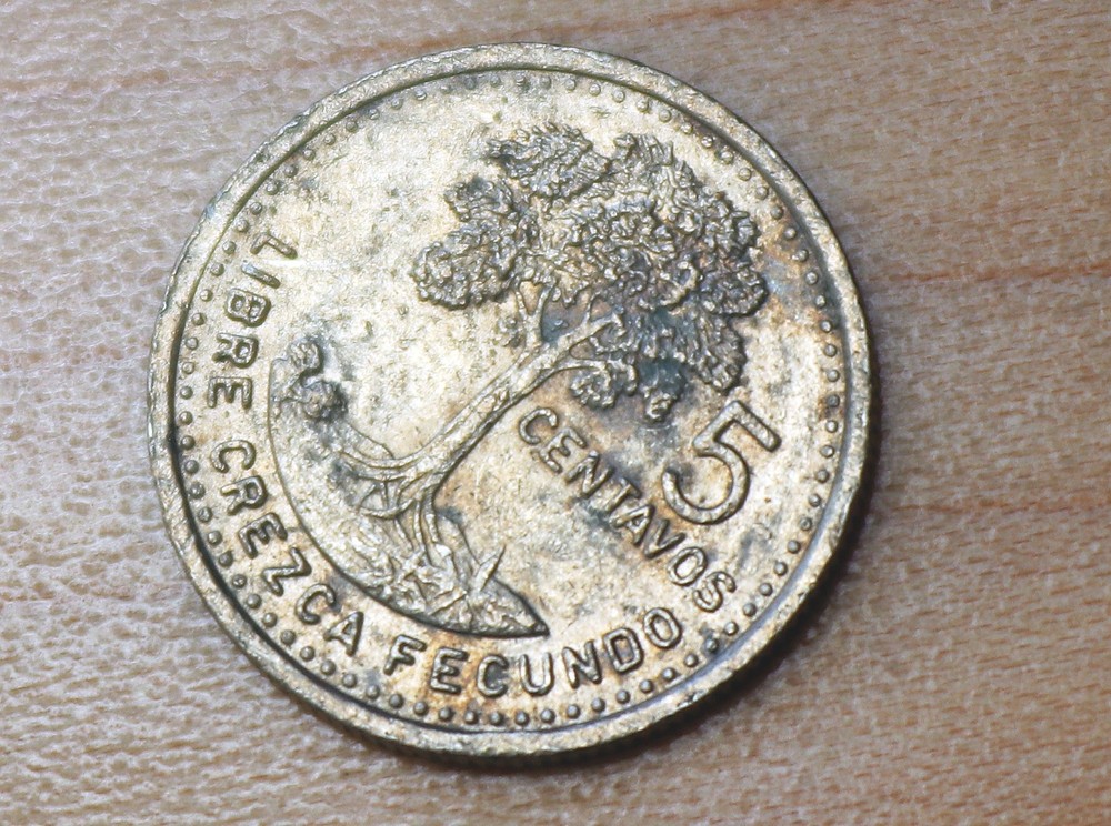 1997 Guatemala 5 Centavos Kapok Tree