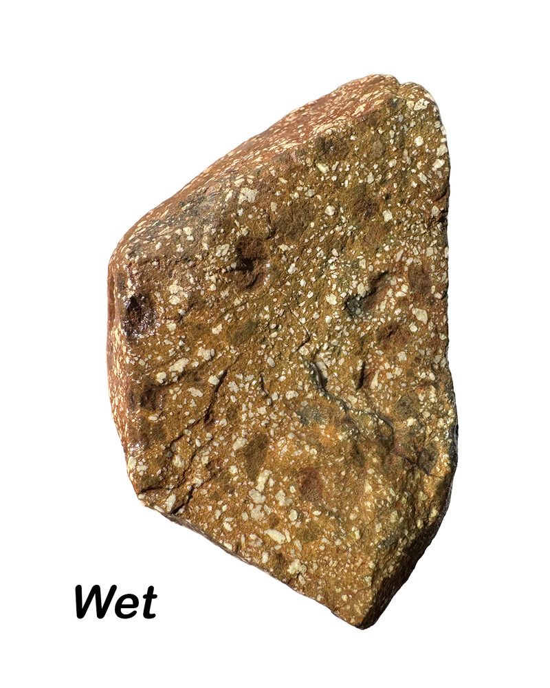 3 oz Red Amygdaloidal Basalt Natural Rough Specimen