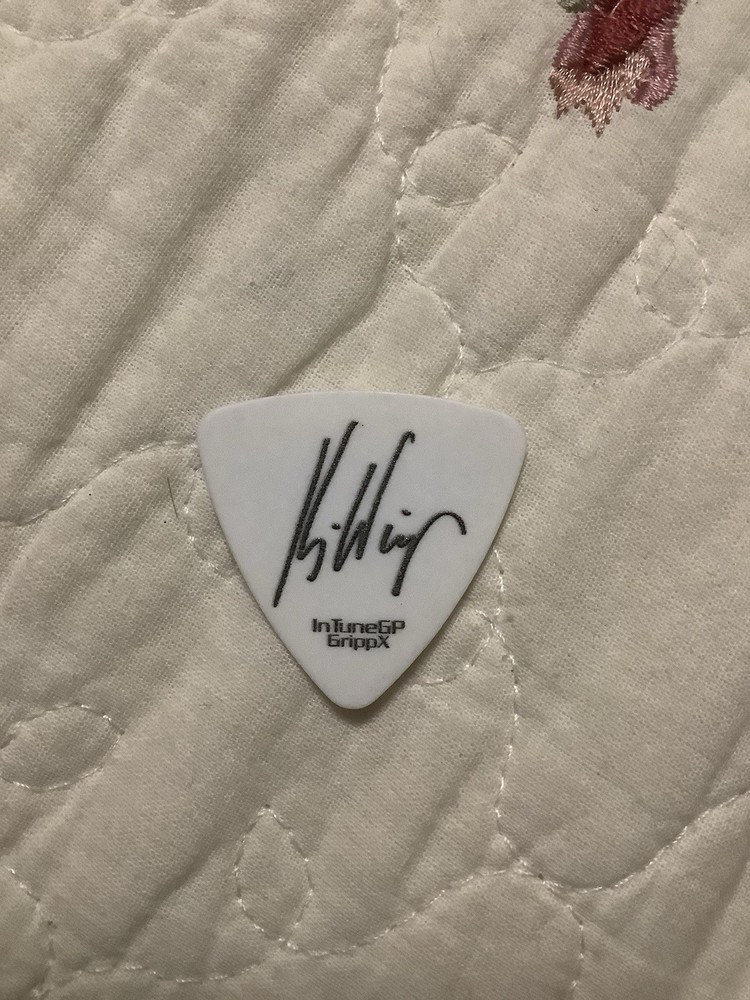 Winger Guitar Pick