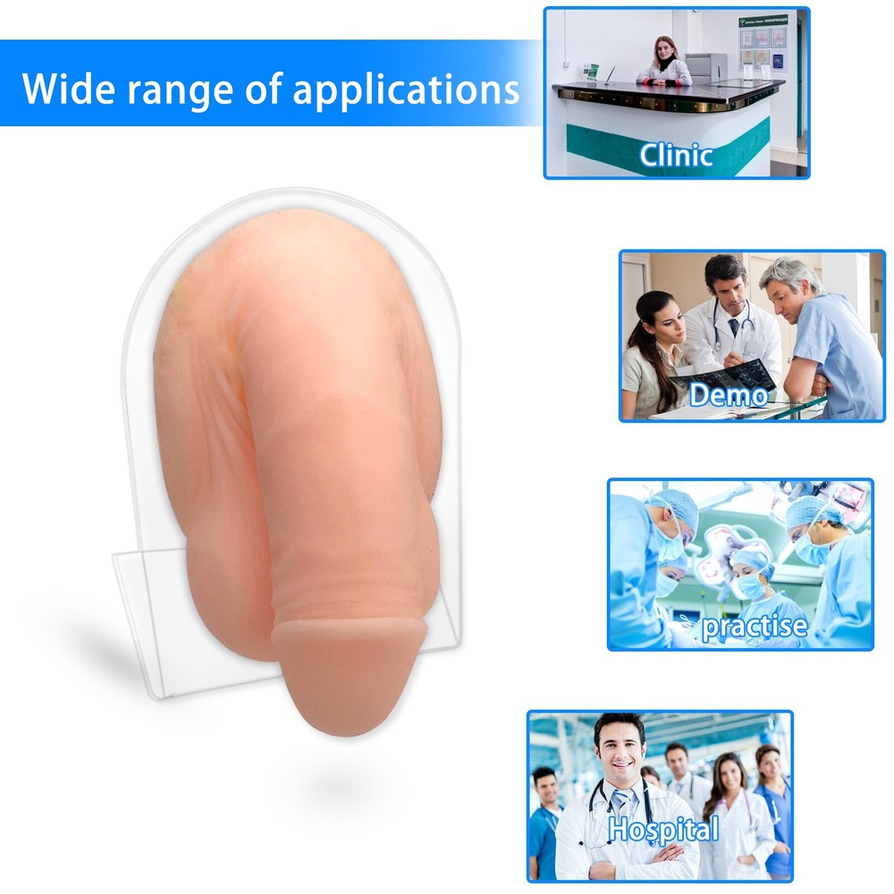 Urinary Catheterization Puncture Model Medical Operation Training Reusable Wide