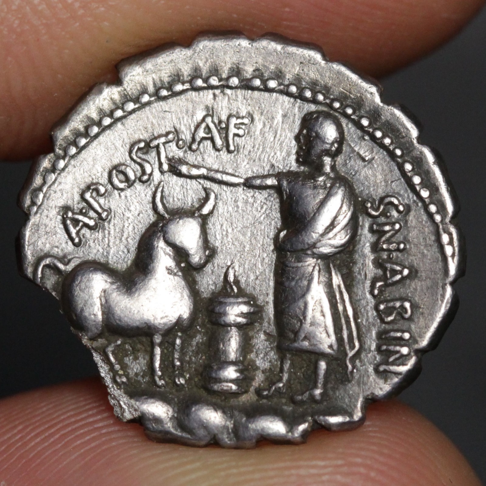 Roman Sacrifice Denarius Serratus 81BC Ancient Rome Republic Silver Coin Albinus