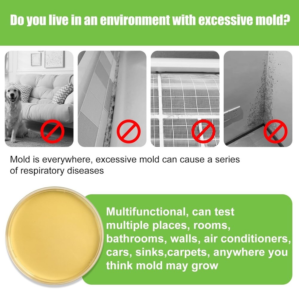 Comprehensive Mold Kit for Home - 6 Tests, Removal Guide & Accessories