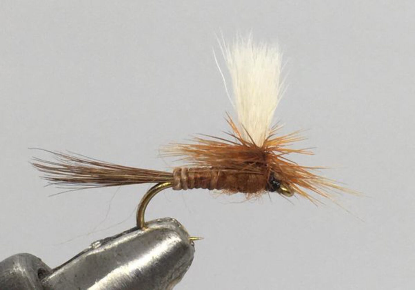 One Dozen (12) Rusty Parachute Adams Dry Fly- Strike Fly Company