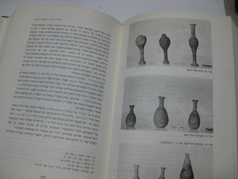 פרקים בתולדות ירושלים בימי בית שני : ספר זיכרון לאברהם שליט SECOND TEMPLE ERA