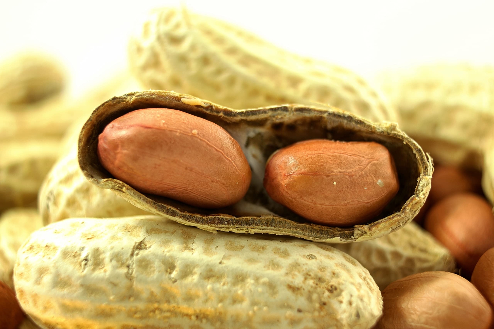 Wakefield Virginia Peanuts Extra Large for Animals, 25 LBS