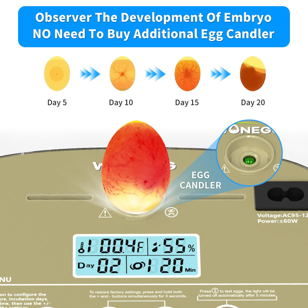 Incubator for Hatching Eggs,Automatic Turning,Temperature and Humidity Control D