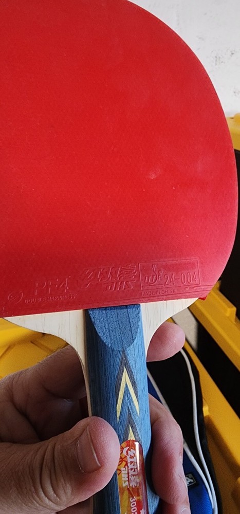 Ping Pong Paddle & Case