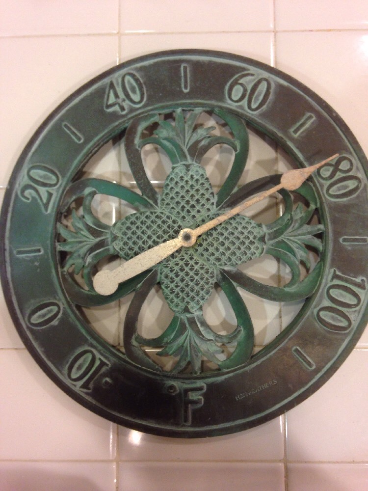Henfeathers Outside Thermometer With Pineapple Theme
