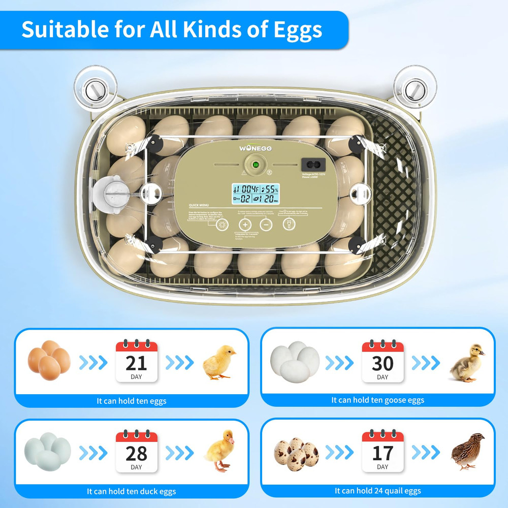 Incubator for Hatching Eggs,Automatic Turning,Temperature and Humidity Control D