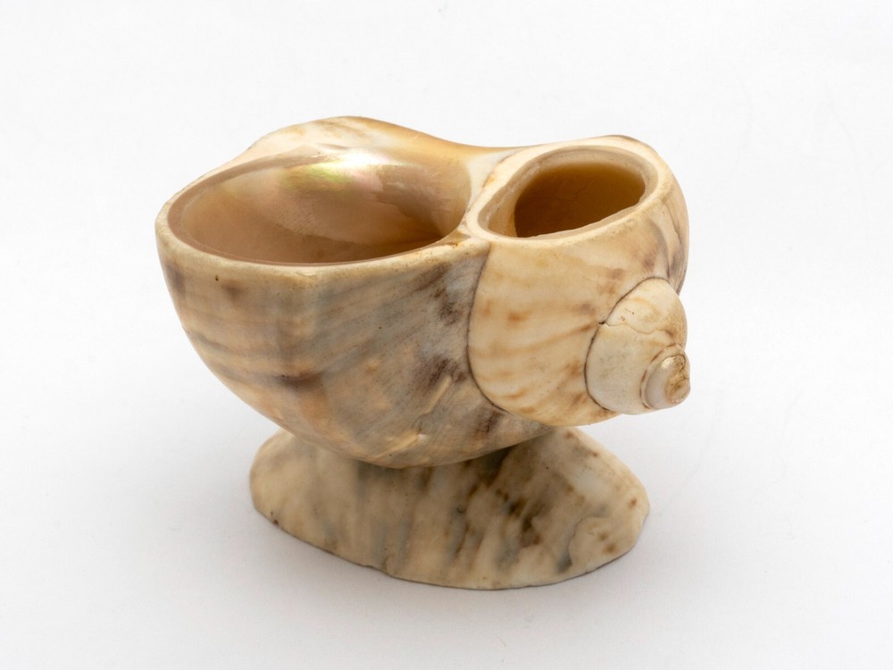 Two Antique Carved Shell Salts