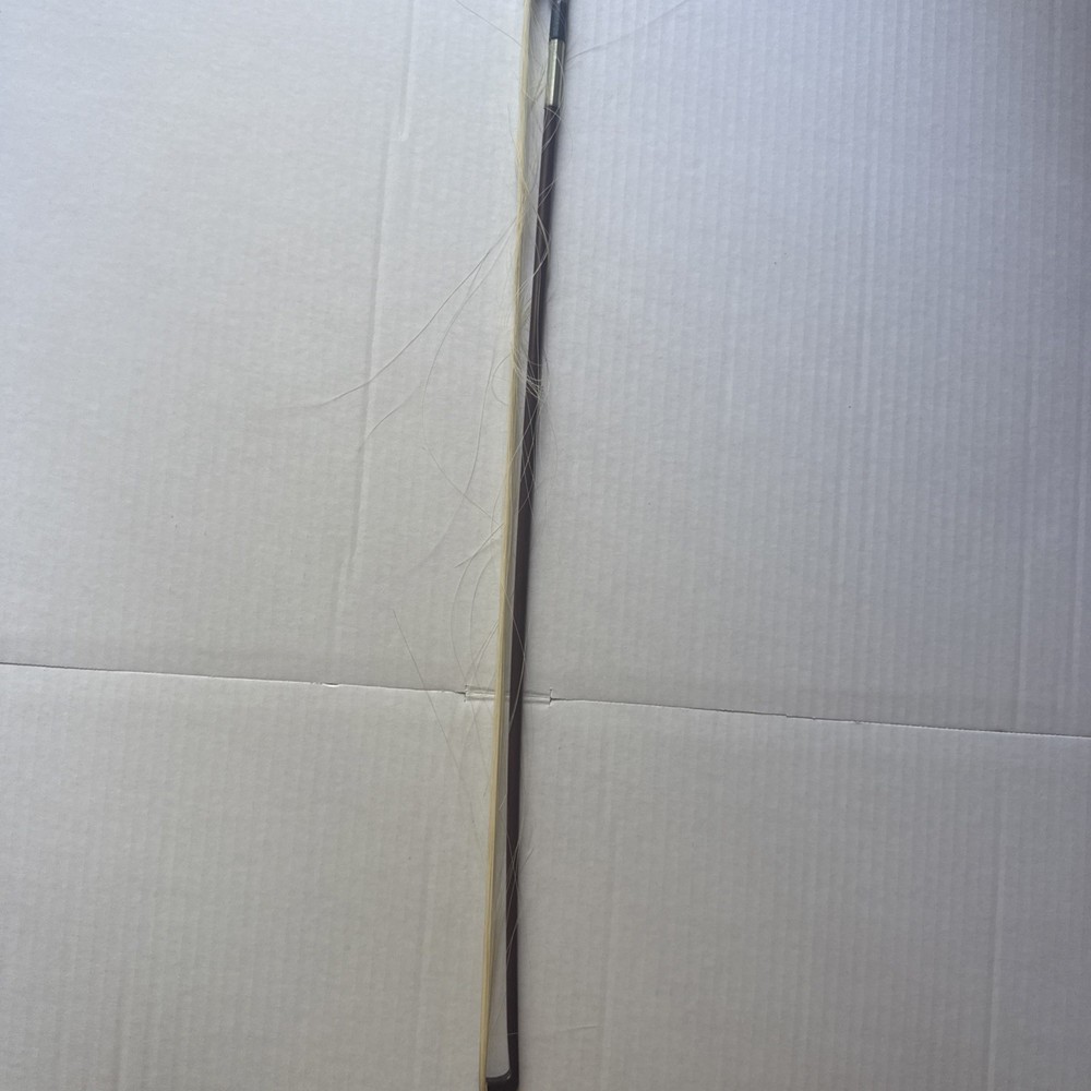Violin With Case