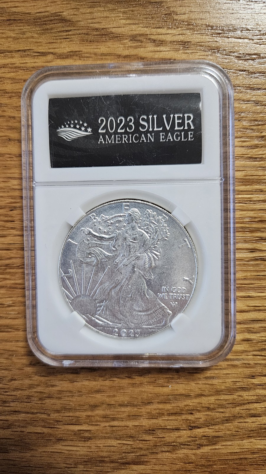 2023 SILV*ER AMERICAN EAGLES 1 OZ BULLION COIN