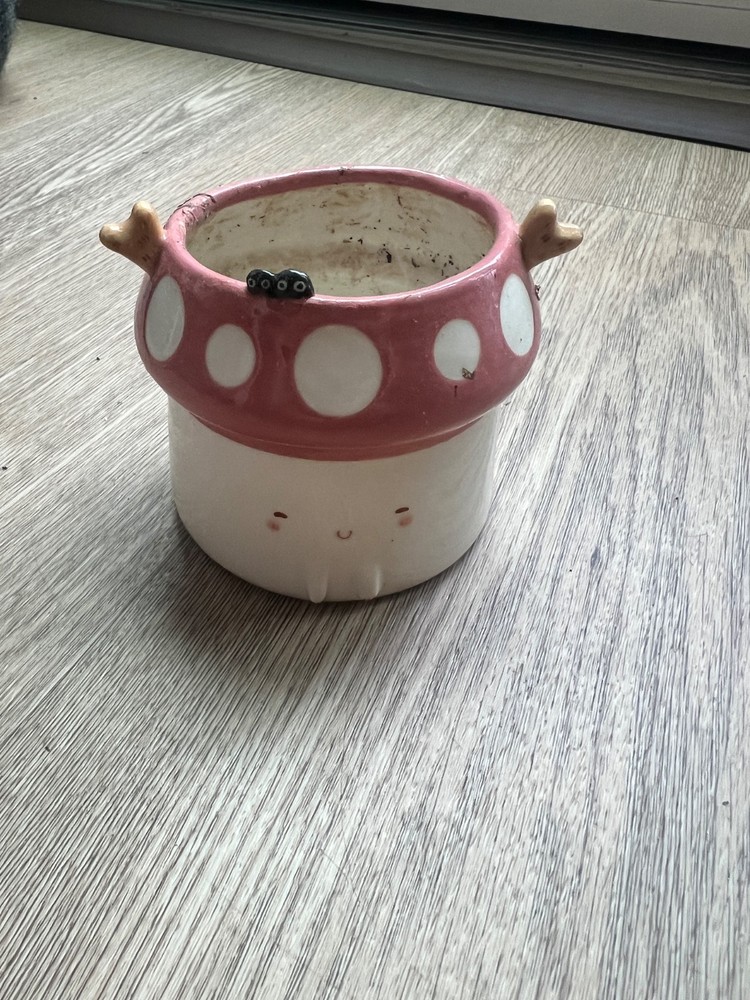 Handmade Oraclay Planter mushroom