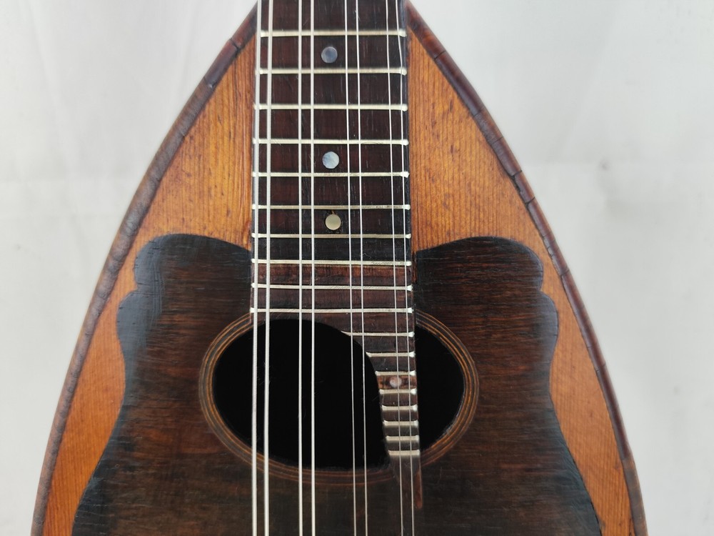 Mandolin 4/4 F. De Cristofaro 1900 Naples 曼陀林 만돌린マンドリン