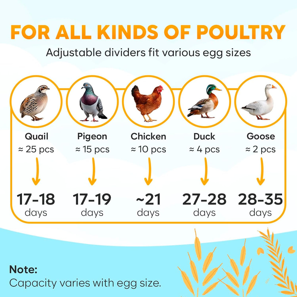 12 Egg Incubator with Automatic Egg Turning and Humidity Control – Egg Incubator