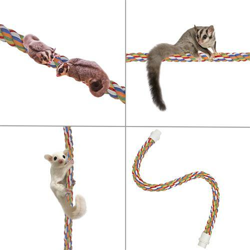 Rainbow Accessory Bundle - Toys / Cage Accessory - Sugar Glider, Squirrel, Degu