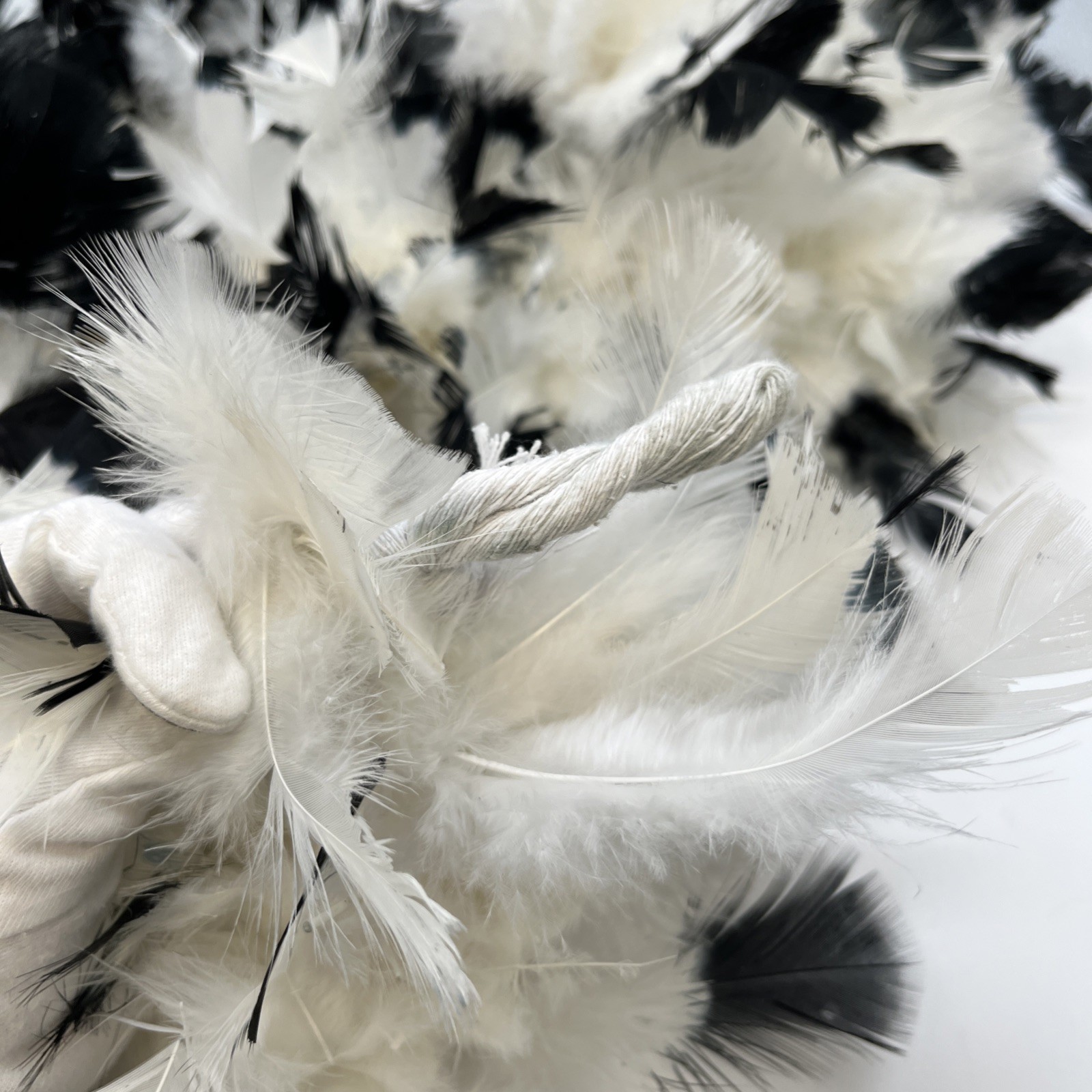 Black tipped White chandelle feather boa 72” D0123303