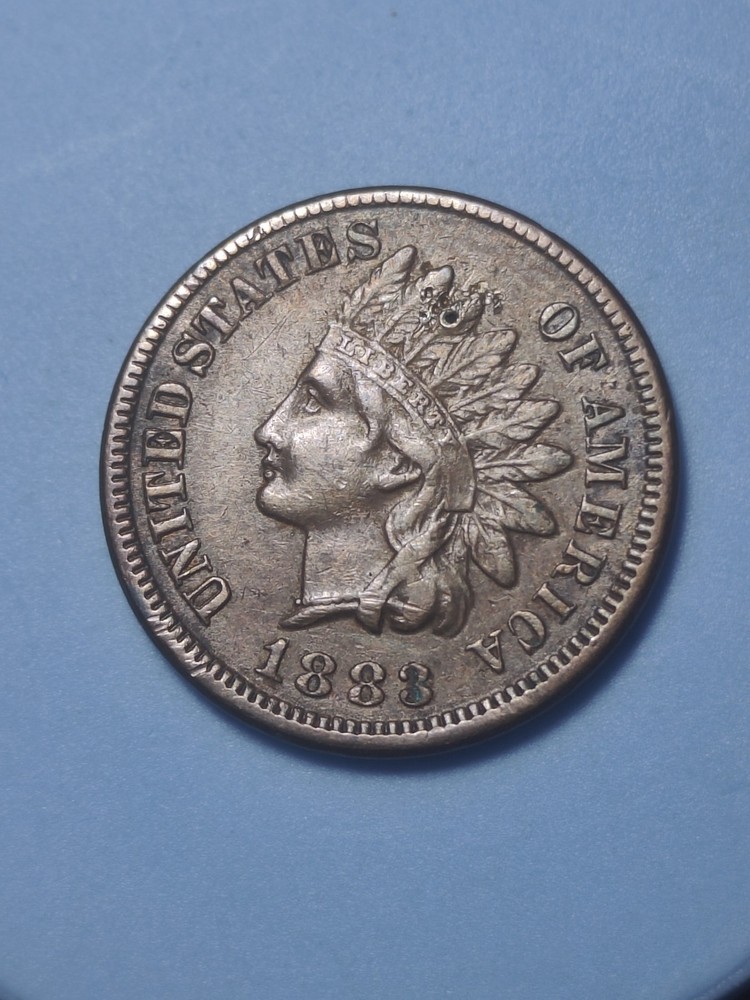 1883 Indian Head Cent Obverse Damage #1115