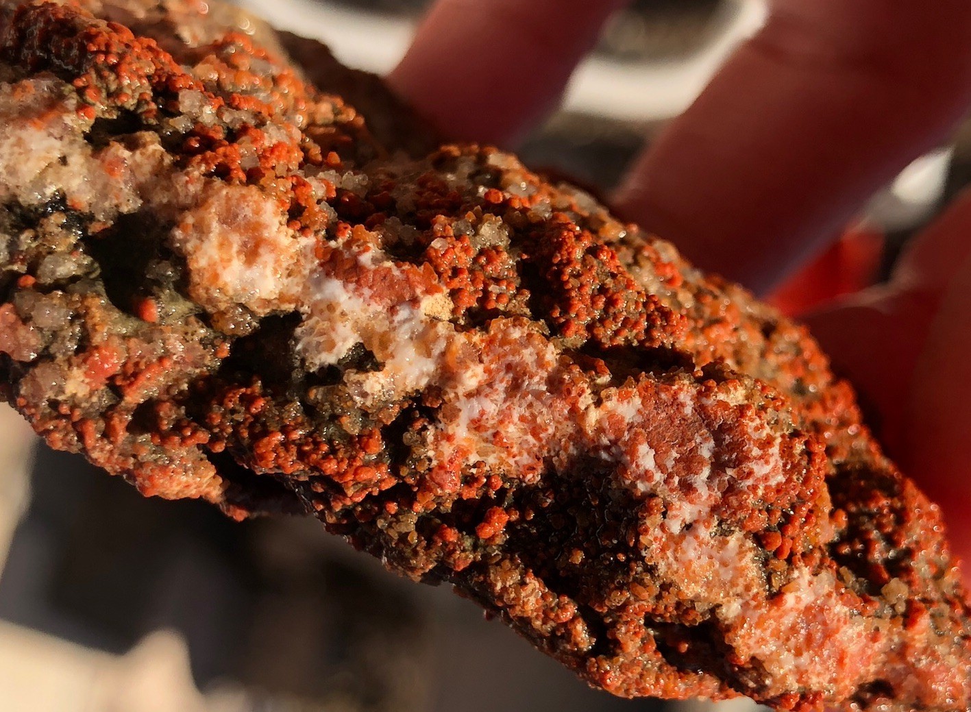 Utah Grape Agate 155g Rough Specimen Red Botryoidal Chalcedony Clear White