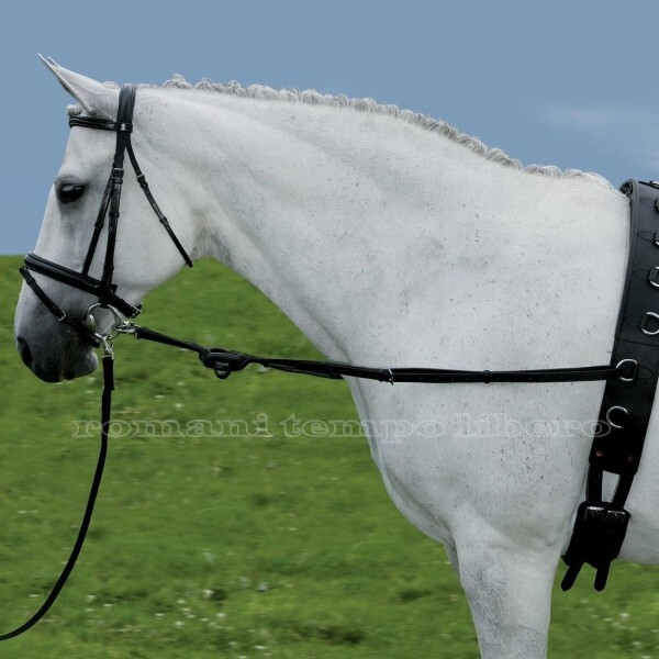 Leather Training Fixed Reins with Rubber Shock Absorbing Ring