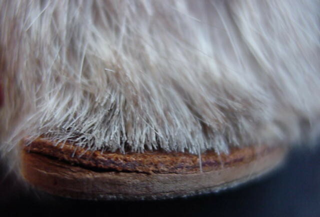 Rabbit Fur Cat Vintage