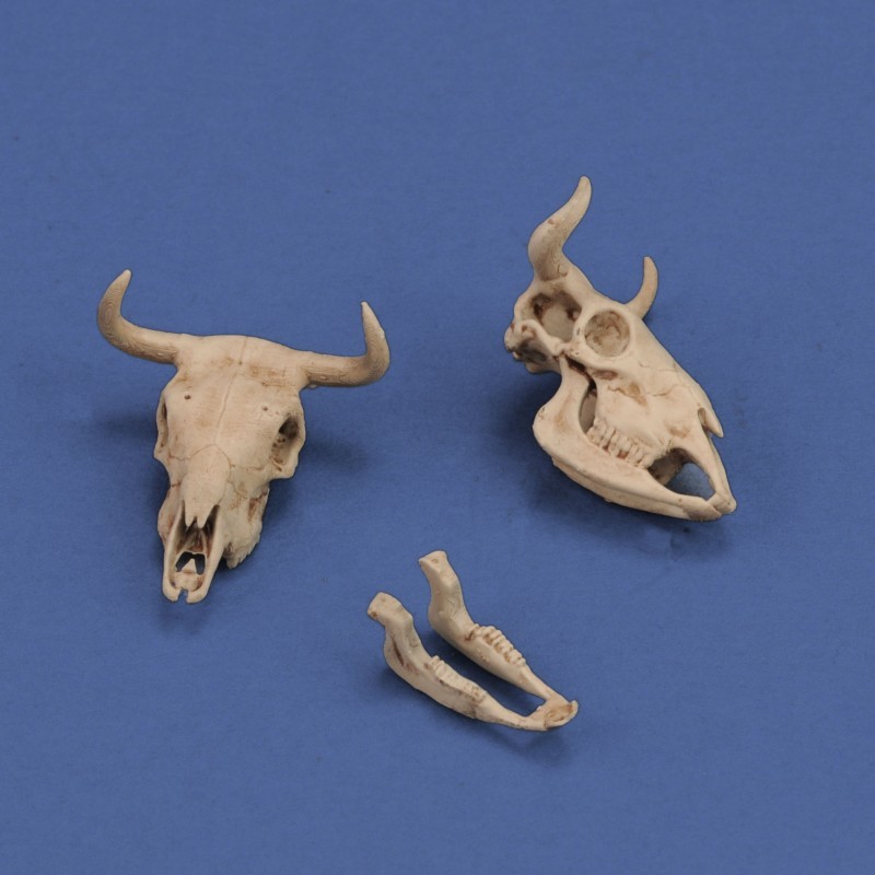 Royal Models 1/35 Cow Skulls