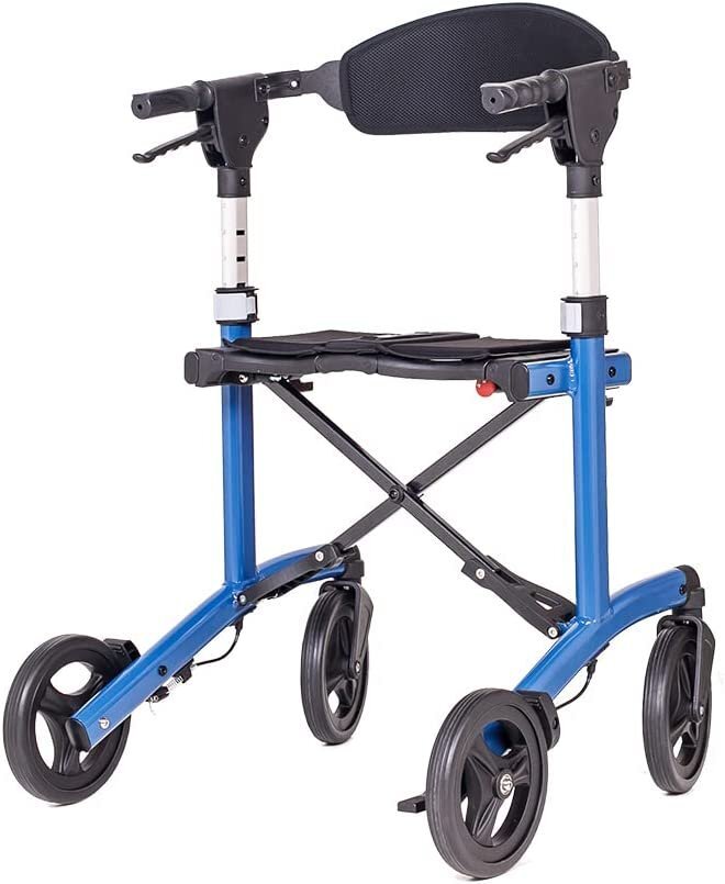 Triumph Escape (Medium (21" Seat Height))