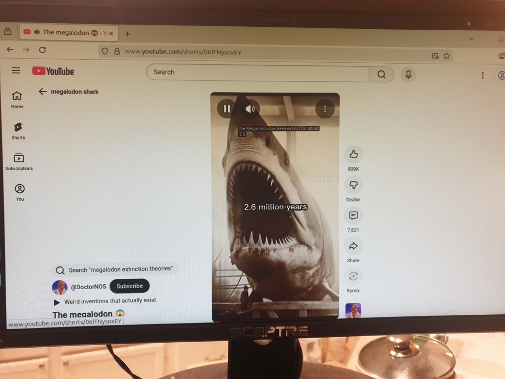 Linux Ubuntu 25.10, 64-bit, Bootable Live and Install USB Flash Drive