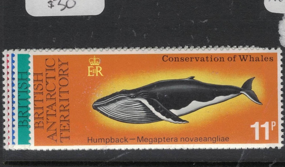 British Antarctic Territory Whales SC 64-7 MNH (9fda)