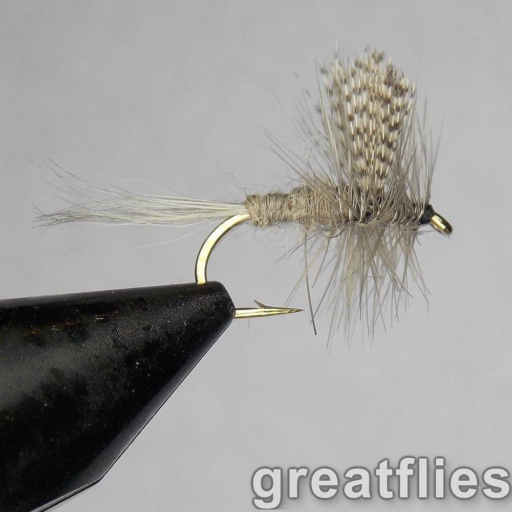 1 dozen (12) - Dark Hendrickson