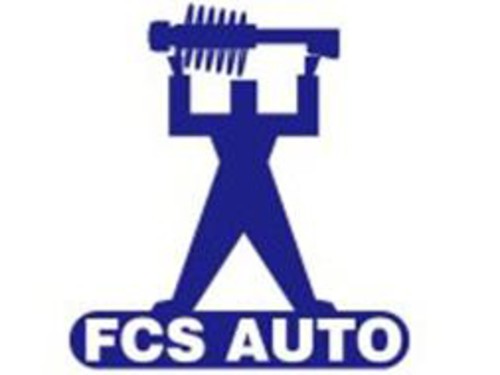 FCS AUTOMOTIVE E89069L Liftgate Lift Support