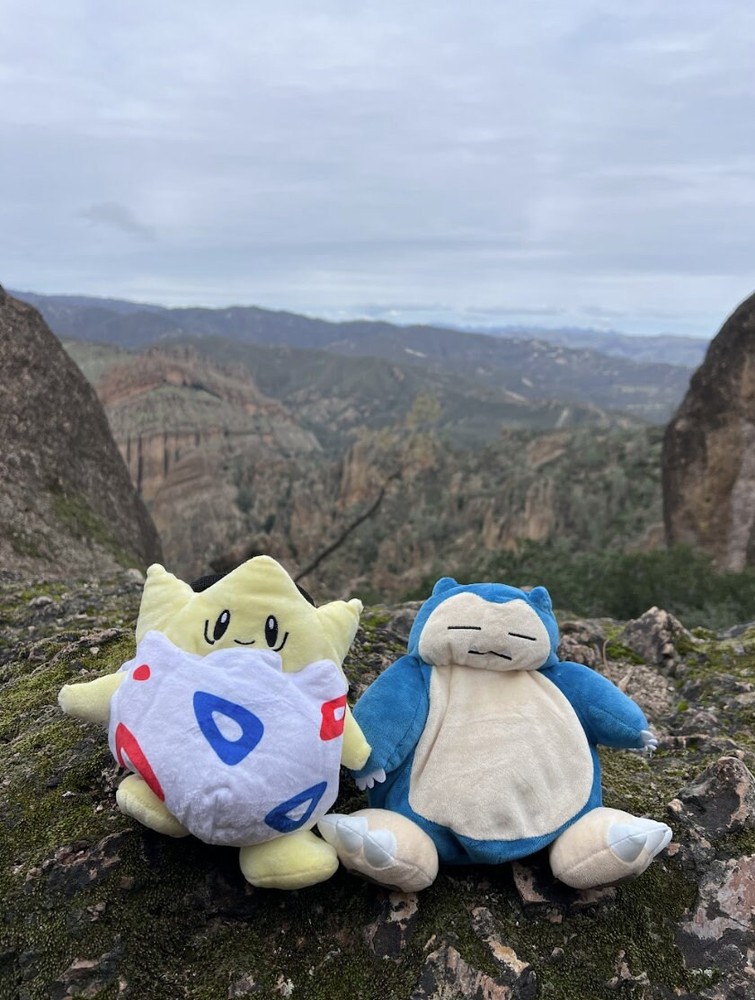 Snorlax Chalk Bag